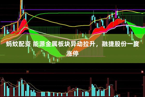 蚂蚊配资 能源金属板块异动拉升，融捷股份一度涨停
