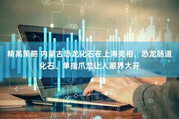 精高策略 内蒙古恐龙化石在上海亮相，恐龙肠道化石、单指爪龙让人眼界大开