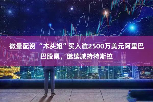 微量配资 “木头姐”买入逾2500万美元阿里巴巴股票，继续减持特斯拉
