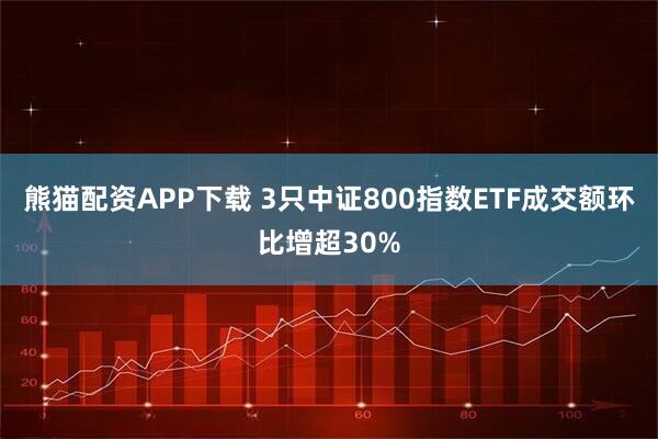 熊猫配资APP下载 3只中证800指数ETF成交额环比增超30%